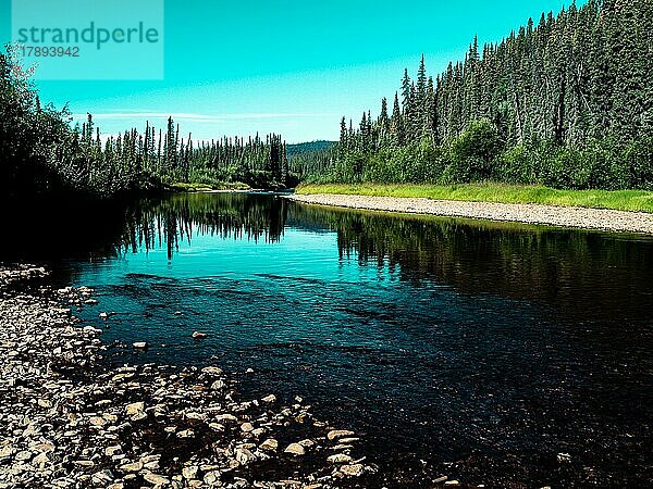 Fluss  Denali National Park  Alaska