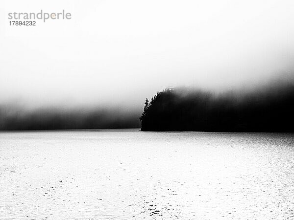 Nebel  Silhouette  Alaska