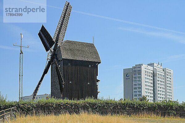 Windmühle  Alt-Marzahn  Marzahn  Berlin  Deutschland  Europa