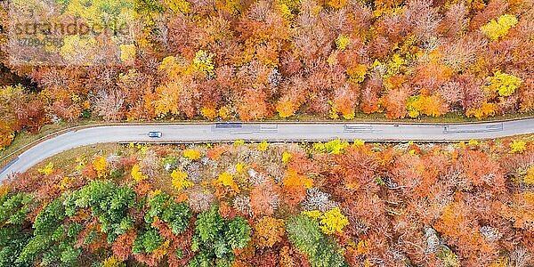 Wald im Herbst bunte Blätter Jahreszeit Luftbild Straße Weg Panorama  Stuttgart  Deutschland  Europa