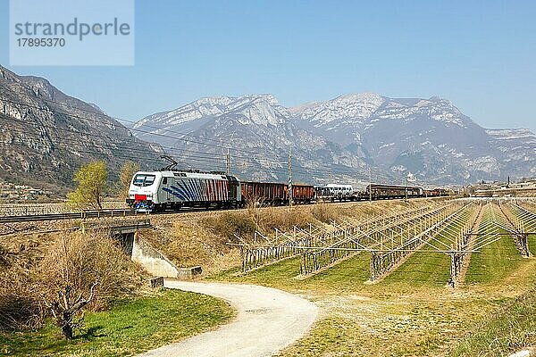 Güterzug der Lokomotion auf der Brennerbahn bei Avio  Italien  Europa
