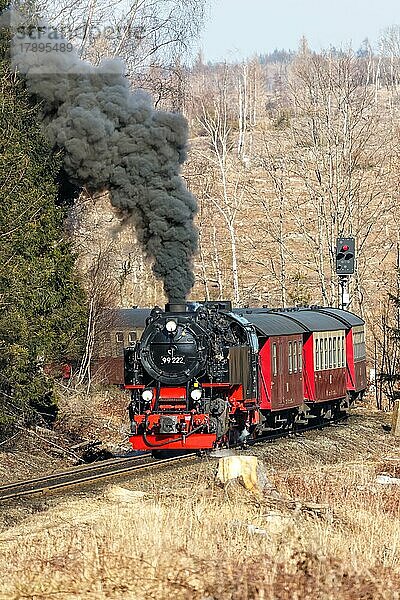 Dampfzug der Brockenbahn Eisenbahn Bahn Dampfeisenbahn bei der Ausfahrt aus Drei Annen Hohne  Deutschland  Europa