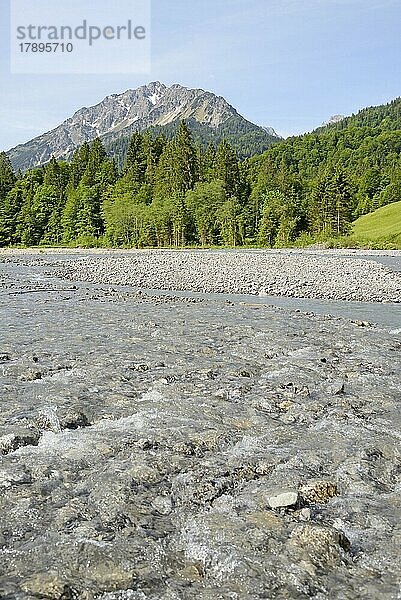 Ausblick auf die Flusslandschaft der Stillach und die Berge  Stillachtal bei Oberstdorf  Allgäuer Alpen  Allgäu  Bayern  Deutschland  Europa