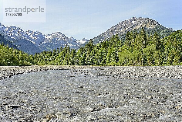 Ausblick auf die Flusslandschaft der Stillach und die Berge  Stillachtal bei Oberstdorf  Allgäuer Alpen  Allgäu  Bayern  Deutschland  Europa