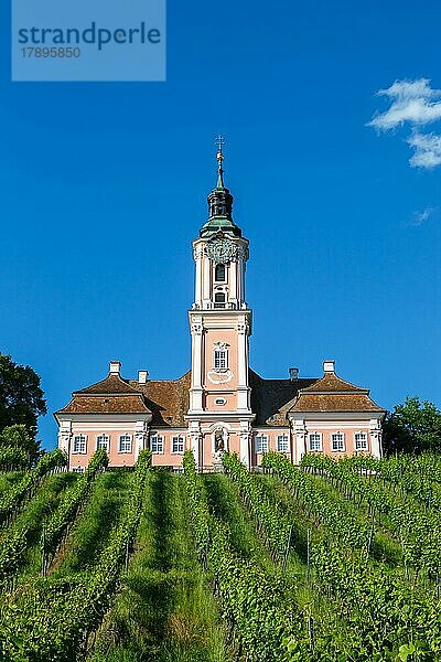 Zisterzienser Kloster am Bodensee barocke Wallfahrtskirche Kirche in Birnau  Deutschland  Europa