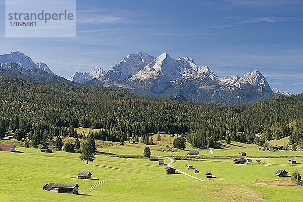 Buckelwiesen zwischen Mittenwald und Krün  Werdenfelser Land  dahinter die Zugspitze  2962m  Wettersteingebirge  Oberbayern  Bayern  Deutschland  Europa