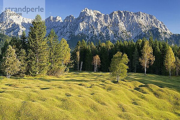 Buckelwiesen zwischen Mittenwald und Krün  Werdenfelser Land  dahinter das Karwendelgebirge  Oberbayern  Bayern  Deutschland  Europa