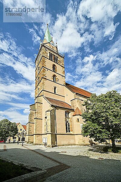 Münster St. Johannes  Neumarkt in der Oberpfalz  Bayern  Deutschland  Europa