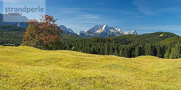 Buckelwiesen zwischen Mittenwald und Krün  Werdenfelser Land  dahinter die Zugspitze  2962m  Wettersteingebirge  Oberbayern  Bayern  Deutschland  Europa