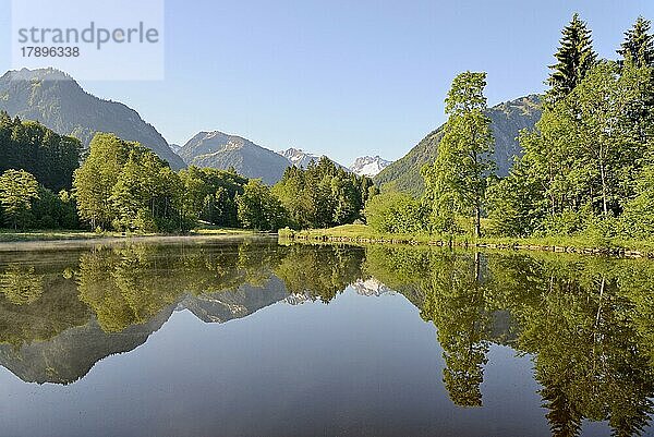 Moorweiher  idyllischer See  Spiegelbild der Landschaft auf der Wasseroberfläche  Oberstdorf  Allgäuer Alpen  Allgäu  Bayern  Deutschland  Europa