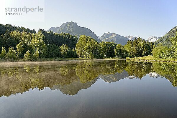 Moorweiher  idyllischer See  Spiegelbild der Landschaft auf der Wasseroberfläche  Oberstdorf  Allgäuer Alpen  Allgäu  Bayern  Deutschland  Europa