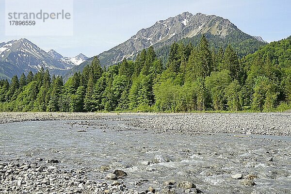 Ausblick auf die Flusslandschaft der Stillach und die Berge  Stillachtal bei Oberstdorf  Allgäuer Alpen  Allgäu  Bayern  Deutschland  Europa