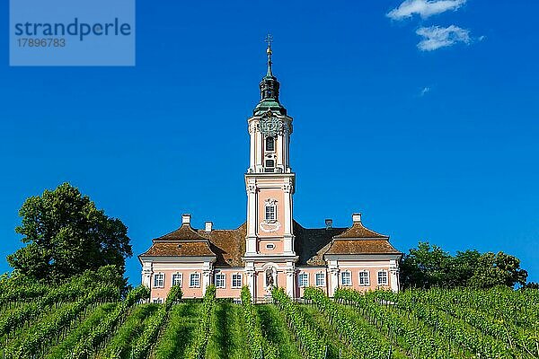 Zisterzienser Kloster am Bodensee barocke Wallfahrtskirche Kirche in Birnau  Deutschland  Europa