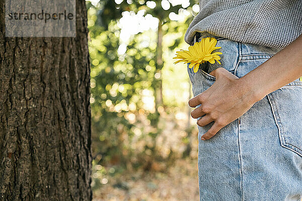 Frau mit gelber Blume in der Jeanstasche steht am Baum