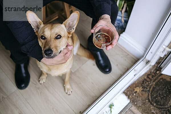 Besitzer streichelt Hund und hält Whiskeyglas in der Nähe der Tür