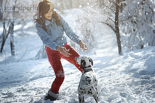 Frau und Dalmatiner spielen im Park mit Schnee