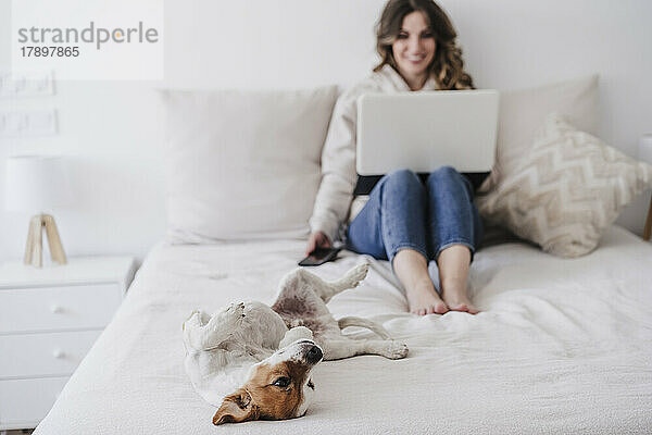 Hund liegt auf Bett  Frau benutzt Laptop im Hintergrund