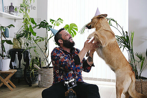 Happy man wearing party hat playing with dog at home