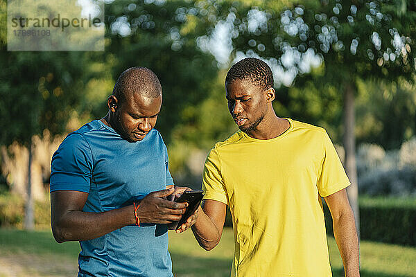 Junger Mann teilt Smartphone mit Freund im Park