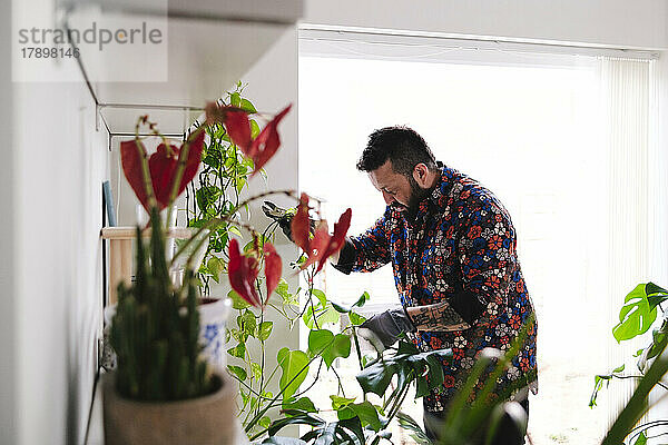 Man examining plants at home