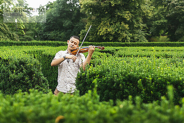 Geiger übt Geige inmitten von Pflanzen im Park