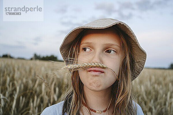 Nettes Mädchen mit Hut  das auf dem Bauernhof Schnurrbart aus Roggenmais macht
