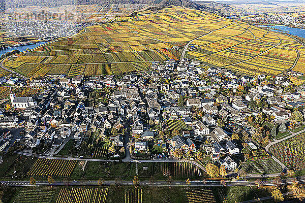 Deutschland  Rheinland-Pfalz  Minheim  Luftaufnahme einer ländlichen Stadt an der Mosel mit herbstlichen Feldern im Hintergrund