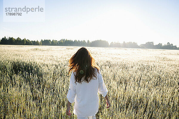 Frau spaziert an einem sonnigen Tag durch das Maisfeld
