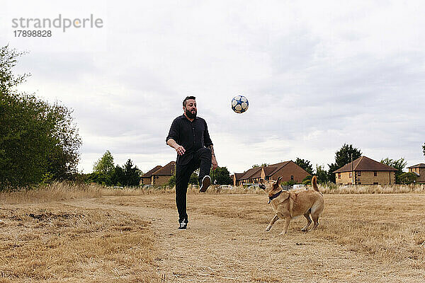 Mann spielt mit Hund und kickt bei Sonnenuntergang Fußball auf dem Feld