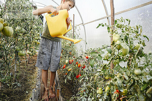 Junge gießt Pflanzen im Gewächshaus