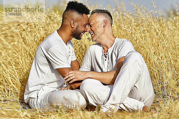 Schwules Paar kuschelt sich an einem sonnigen Tag im Feld