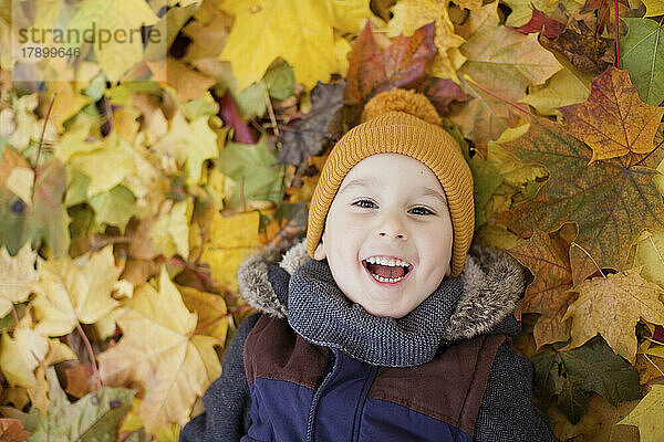 Happy boy lying on autumn leaves