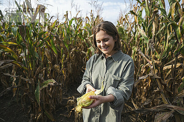 Lächelnde Frau hält Maiskolben im Feld