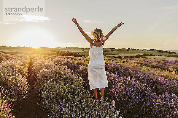 Frau mit erhobenen Armen springt bei Sonnenuntergang in ein Lavendelfeld
