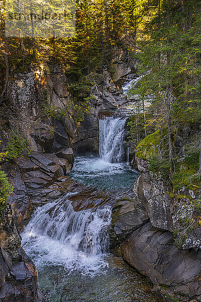 Italien  Trentino-Südtirol  Wasserfall im Paneveggio-Wald im Morgengrauen
