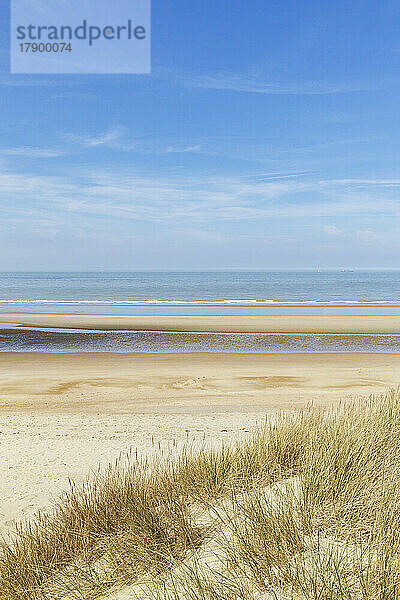 Belgien  Westflandern  De Haan  Sandstrand mit klarer Horizontlinie über der Nordsee im Hintergrund