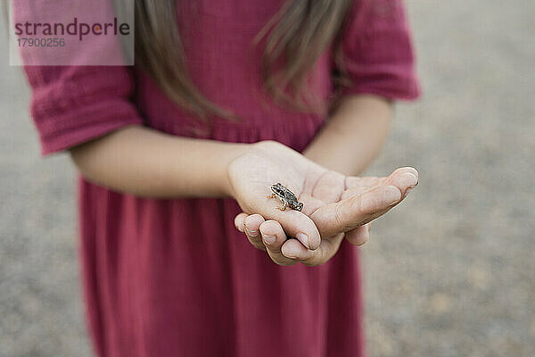 Mädchen hält Frosch in der Hand