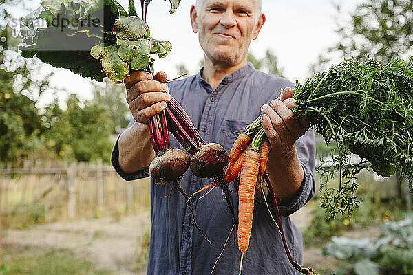 Glücklicher Gärtner mit frischen Bündeln Karotten und Rote Bete im Garten