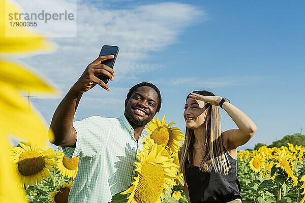 Glücklicher Mann und Frau machen Selfie per Handy im Sonnenblumenfeld