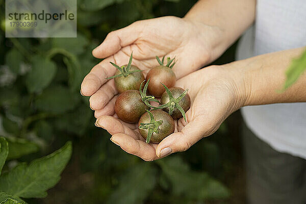 Frau hält kleine Tomaten in der Hand