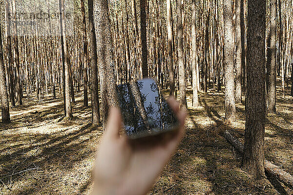 Hand einer Frau mit Smartphone im Wald