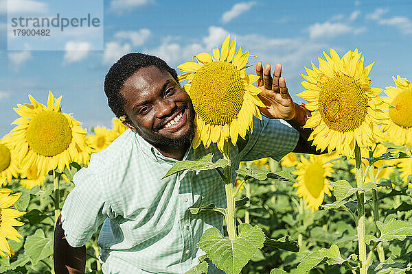 Glücklicher junger Mann posiert mit Sonnenblume im Feld