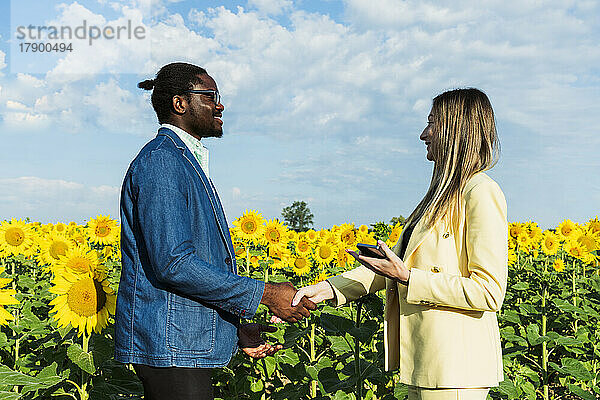 Lächelnde Geschäftsfrau hält Mobiltelefon und schüttelt einem Geschäftsmann im Sonnenblumenfeld die Hand
