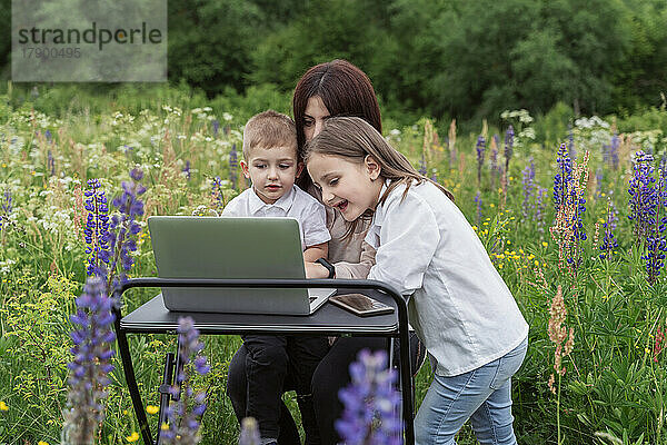 Kinder schauen Mutter zu  die auf der Wiese am Laptop arbeitet