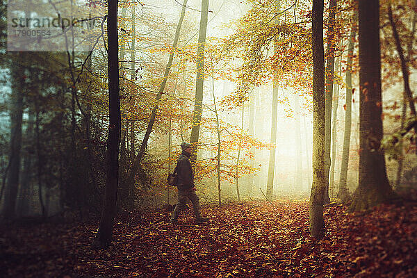 Älterer Mann wandert im Herbstwald