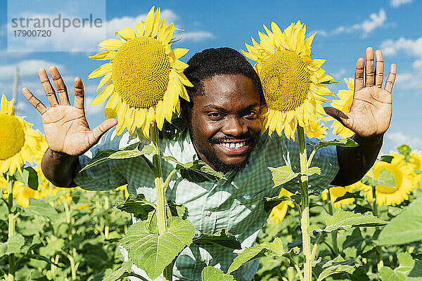 Verspielter junger Mann posiert mit Sonnenblumen