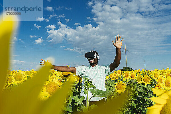 Glücklicher Mann mit Virtual-Reality-Simulator gestikuliert im Sonnenblumenfeld