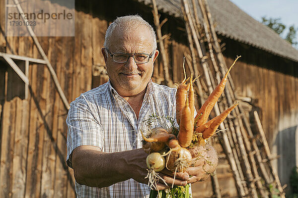 Lächelnder Bauer zeigt Karotten und Zwiebeln  die an einem sonnigen Tag im Hinterhof stehen