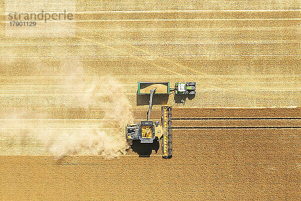 Luftaufnahme eines Mähdreschers in einem riesigen Weizenfeld