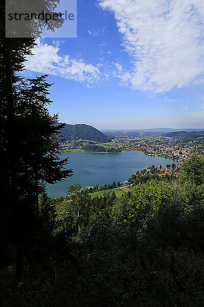 Deutschland  Bayern  Schliersee  Hain mit Blick auf den Schliersee im Sommer